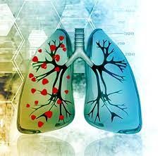 شبکه بهداشت و درمان درگز