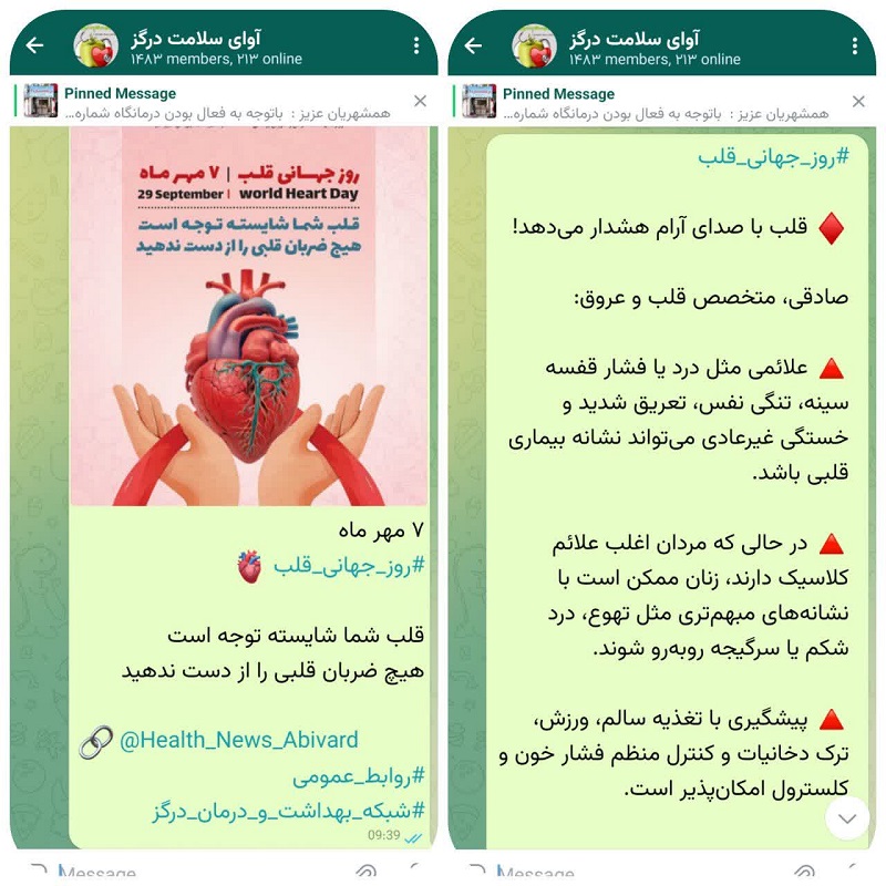 شبکه بهداشت و درمان درگز