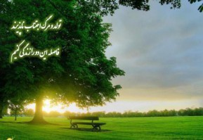 زندگی